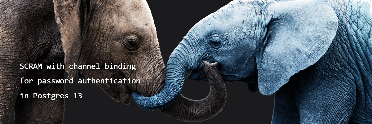 Two Postgres elephants shaking trunks, representing SCRAM with channel_binding password authentication